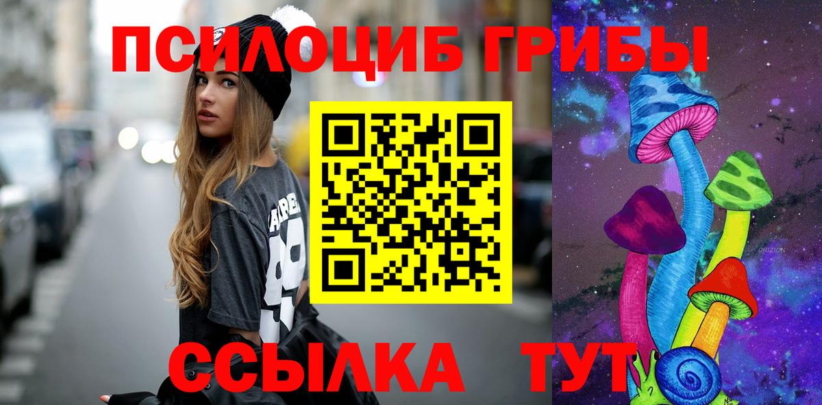 Курчатов  Псилоцибиновые грибы GOLDEN TEACHER  Вход с VPN  Псилоцибиновые грибы ЛСД 